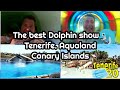 The best Day out in Tenerife. Aqualand Waterpark Canary Islands & Dolphin show