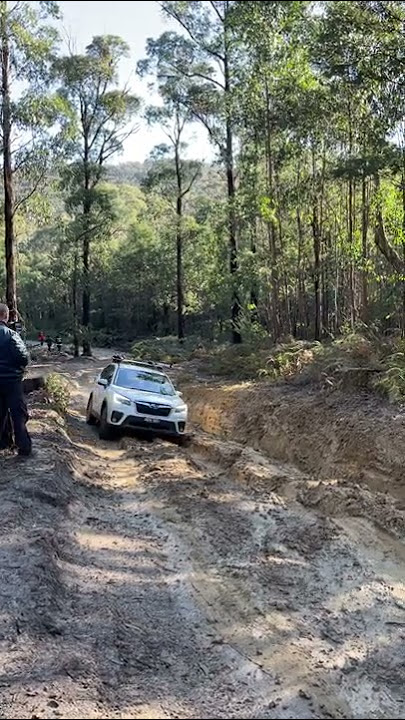 SK Forester Offroad Victoria - Healesville / Chum Creek