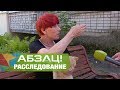 Школа ужасов. Ученики на Днепровщине охотятся на собак? - Абзац! - 14.09.2017