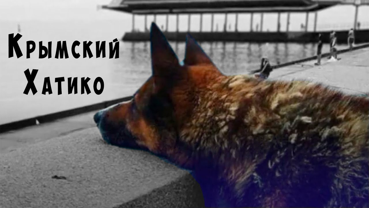 Хатико московская ул 59 ялта фото