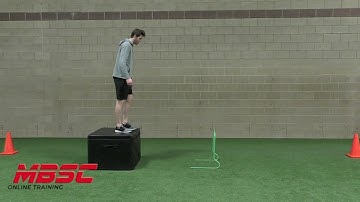 Depth Drop-Hurdle Jump