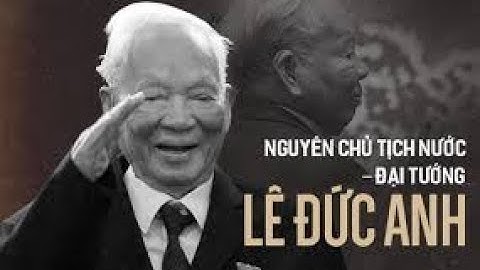 Tiểu sử cuộc đời của chủ tịch nước Lê Đức Anh