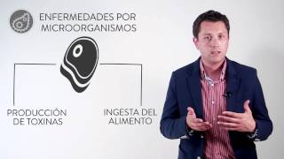 1.4. Enfermedades transmitidas por los alimentos 1.4. Enfermedades transmitidas por los alimentos