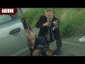 Очень мощный боевик: криминальный российский фильм «Парадиз»