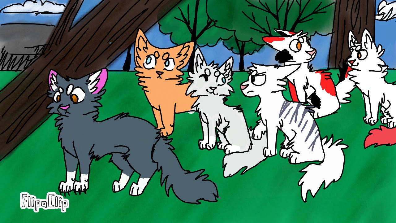 Animation for ShadowStar