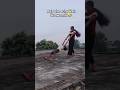 #shorts Ghar Ke Podhon Mein Keede Lag Gaye #minivlog #trending #viral #shortsfeed