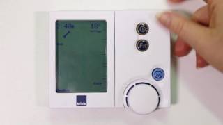 brivis central heating service