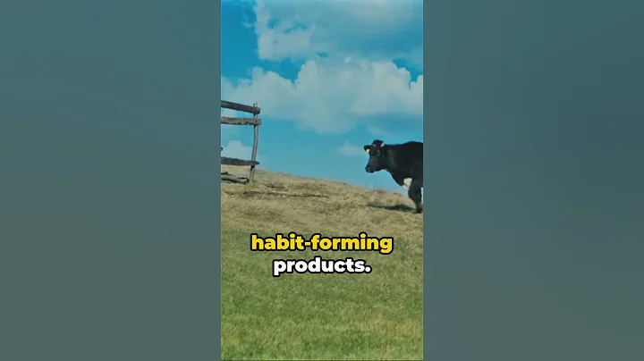 Top 5 Marketing Books You Must Read