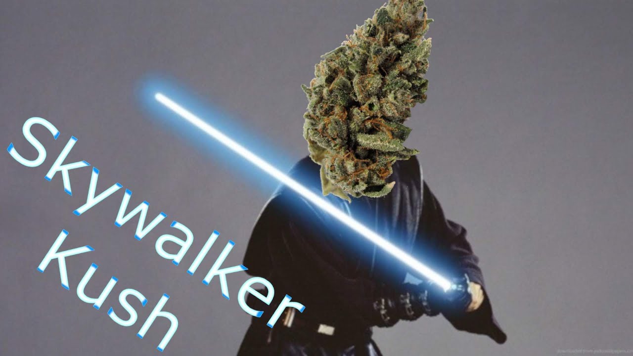 Im Skywalker Kush, Im Here to Rescue You