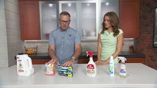 Mr. Fix It with tips on getting rid of ants