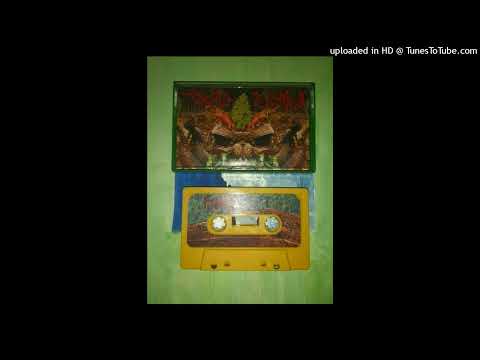 Phyllomedusa — Phyllomedusa / Truth Of All Death - Split (CASSETTE RIP)