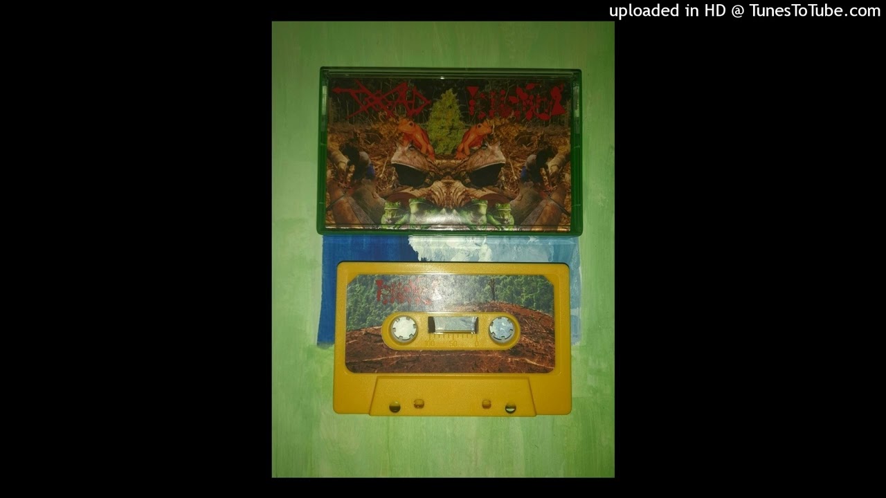 Phyllomedusa / Truth Of All Death - Split (CASSETTE RIP)