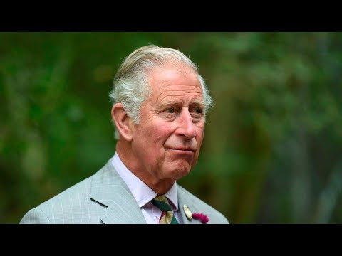 Prince Charles 'shouldn't be able to' interfere in politics when he becomes King