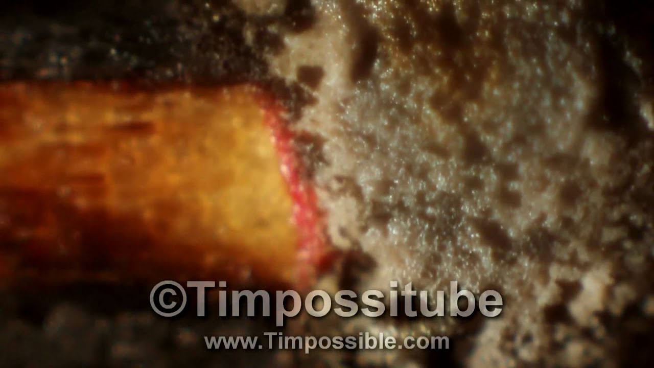 Macro HD Video of a Wooden Match Stick Igniting
