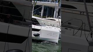 Beautiful Catamaran Leopard 45
