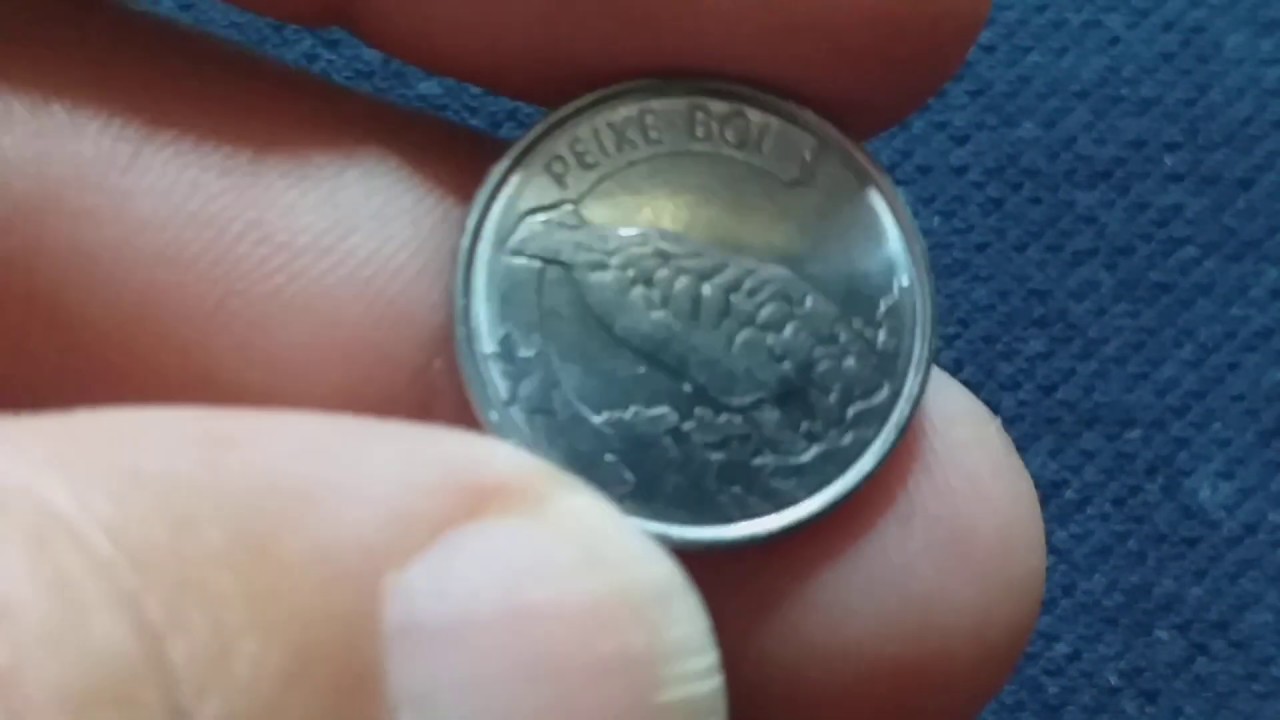 QUEM TEM A MOEDA INVERTIDA DO PEIXE BOI💰