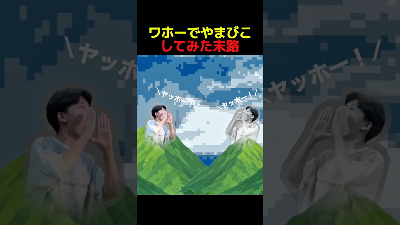 ワホーでやまびこしてみた末路