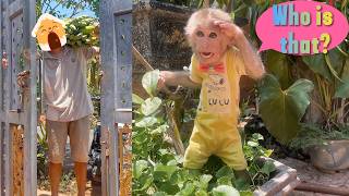 Lulu Is Surprised and Excited to Welcome a Special Guest