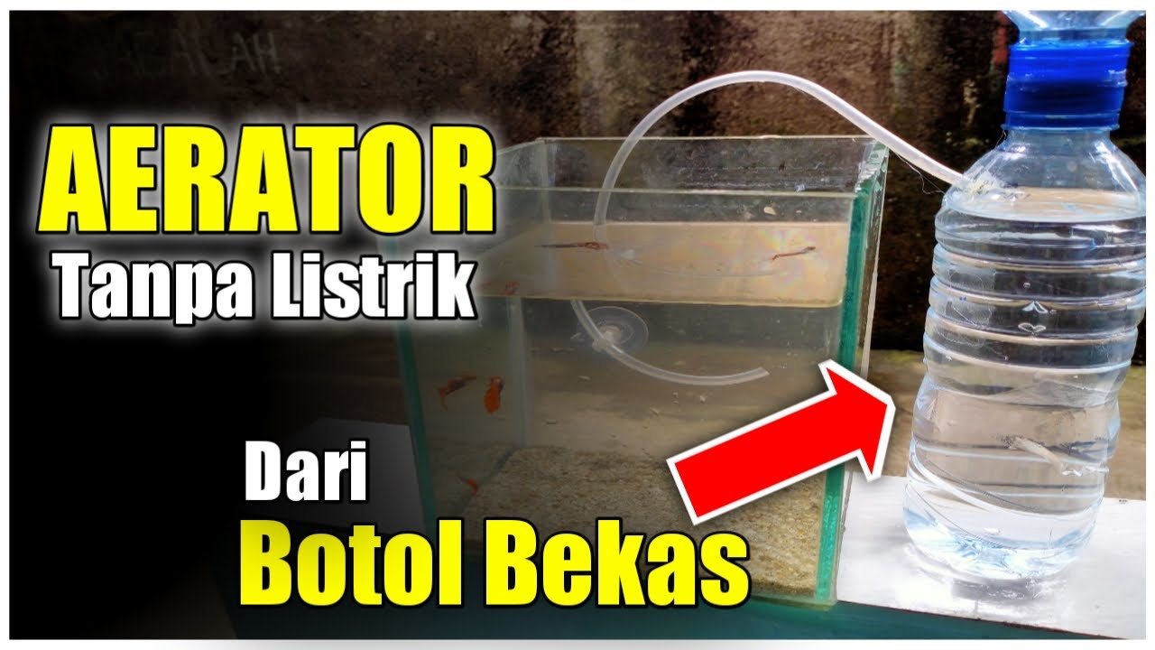 Cara Membuat Aerator Tanpa Listrik Dari Botol Bekas YouTube