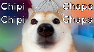 Chipi Chipi Chapa Chapa Dubi Dubi Daba Daba Doge Resimi