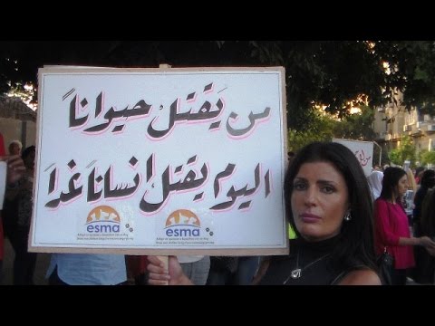 فيدرا فرح تهاجم إدارة نادى الجزيرة اللى قتلت القطط