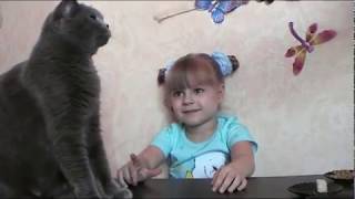 Кошка есть брокколи. Приколы про животных. Челлендж "Накорми кошку" Кошка уплетает брокколи,горошек Кошка есть брокколи. Приколы про животных. Челлендж "Накорми кошку" Кошка уплетает брокколи,горошек