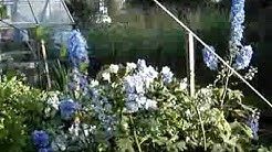 Marthas garden exploits