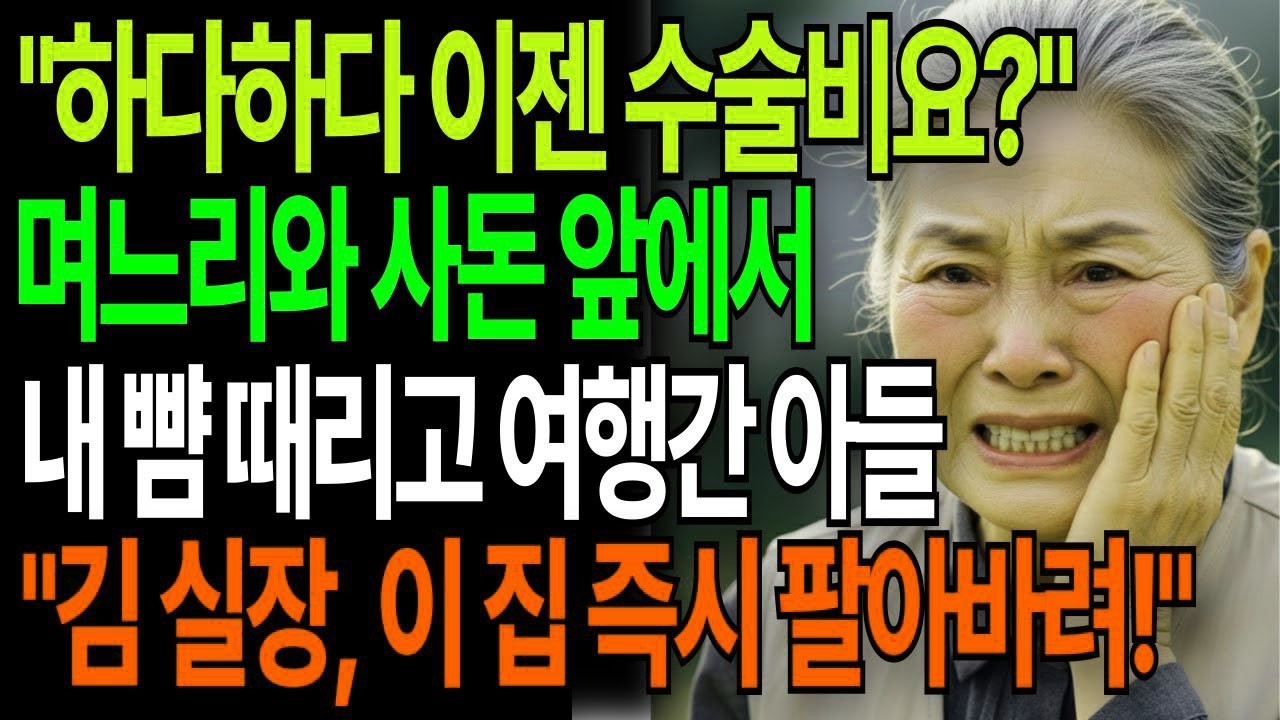 아들이 어머니의 뺨을 때리고 장인장모와 해외여행을 간순간, 전화 한통으로 인생 나락갔습니다 고부갈등 고부사연 시니어사연 오디오북 인생사연 실화사연 노후사연