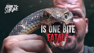 The Most Dangerous Snake Bites (Part 4)