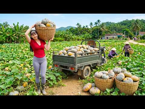 Harvesting Lots of Pumpkins | Full 3-Wheeled Truck to a Bustling Village Market