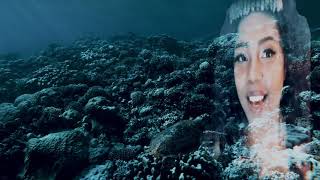Sevenleafs- Underwater (Official Music Video)