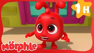 Morphle -  Baby Morphles! | Learning Videos For Kids | Education Show For Toddlers