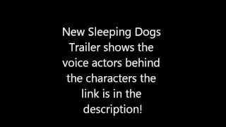 Sleeping Dogs Voice Cast Revealed