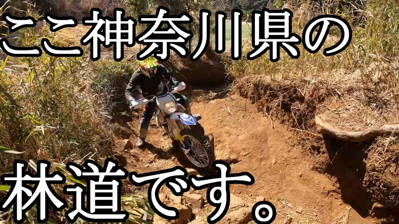 【林道】神奈川県伊勢原サーキット！セロー２５０