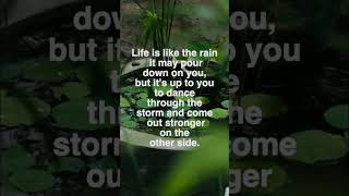 Motivational Quotes | Can You Dance Through the Rain? #shorts #viral #quotes