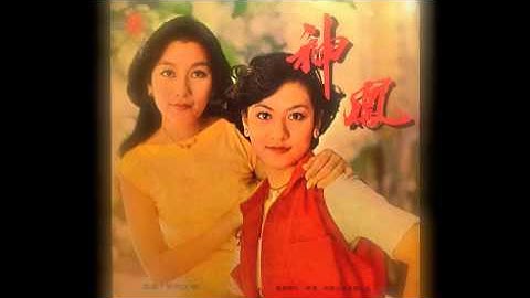 Sum Sum & Pan Pan /森森 & 斑斑 - 青春舞曲 (funk disco, Hong Kong 1977)