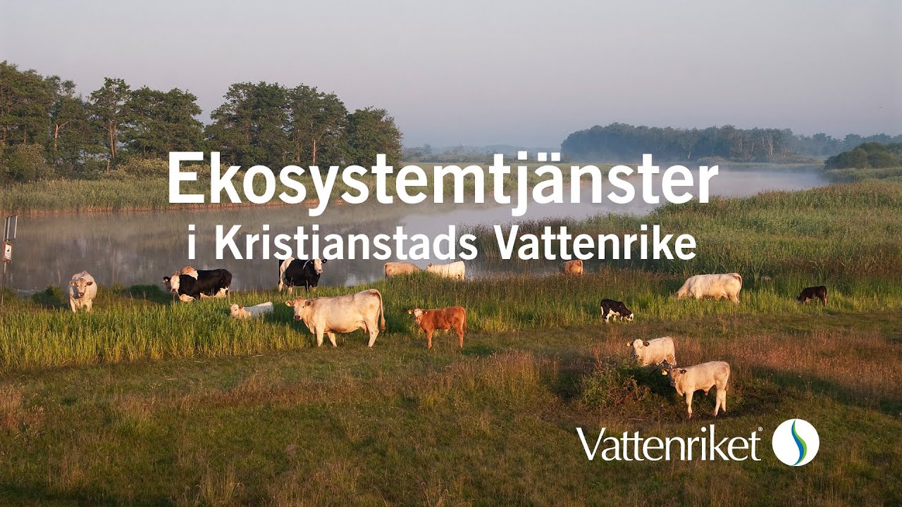 Ekosystemtjänster i Kristianstad Vattenrike