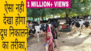 Dinesh Chaudhary Dairy Farm Banaskantha Gujrat India