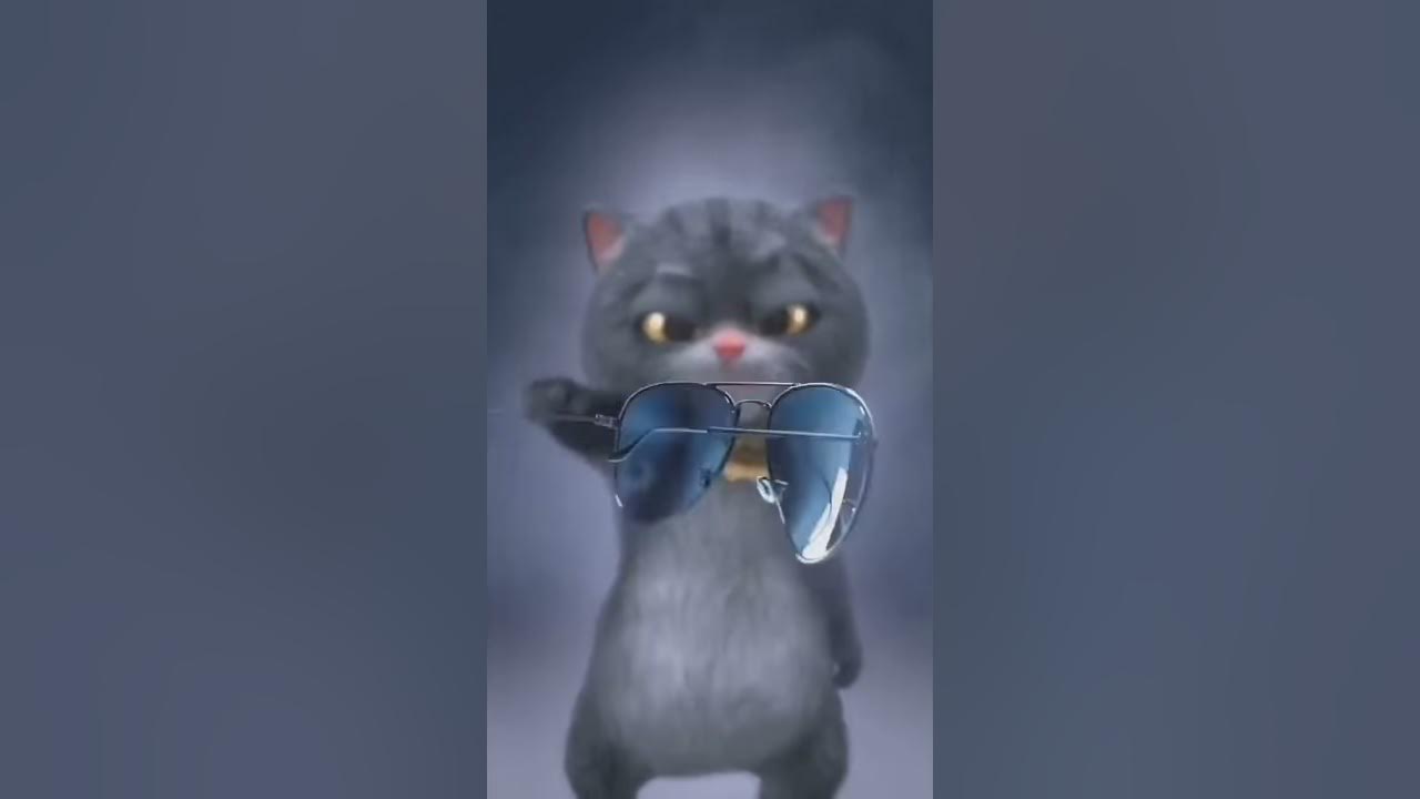 Кот с очками крутой - YouTube