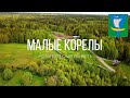 4K. Малые Корелы. Архангельская область.