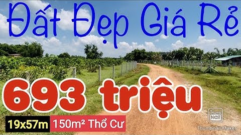 Bán đất giá rẻ mà lại đẹp tại Long Khánh Bến Cầu - Hàng hiếm Nhanh tay thì còn | Điền Thổ Tây Ninh