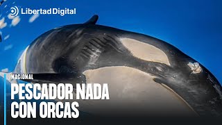 Un pescador de Cádiz no tiene ningún miedo a meterse en el agua con orcas y jugar con ellas