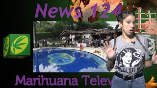 Tiempos de COSECHAR FLORES de MARIHUANA y de FERIAS del CANNABIS. TIPS de CULTIVO y SILICIO NEWS 124
