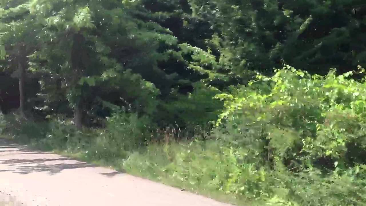 presque isle bike rental