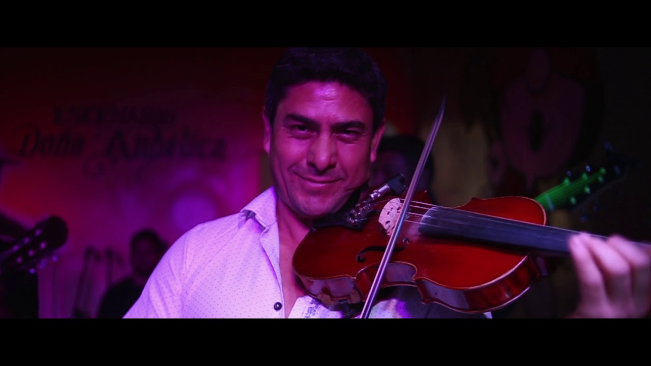 LEÓN HERIDO PANCHO Y FERMIN PEREYRA VIDEO OFICIAL 4K Chords - Chordify