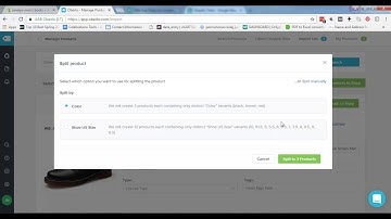 Shopify Tutorial   How to Separate Variants Into Different Product Listings - Janelyn