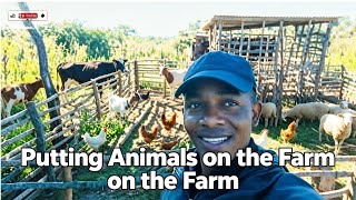 Mrleekennys nursing mum and farm activities.