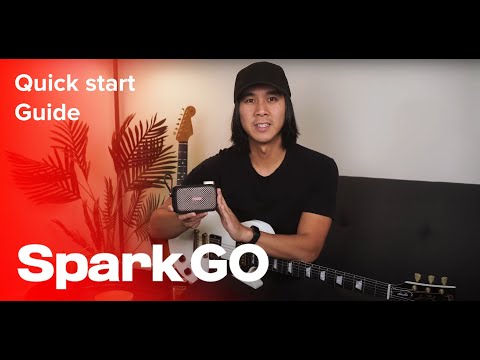 Positive Grid Spark Go Combo Modelling Amp