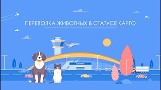 Перевозка животных Cargo