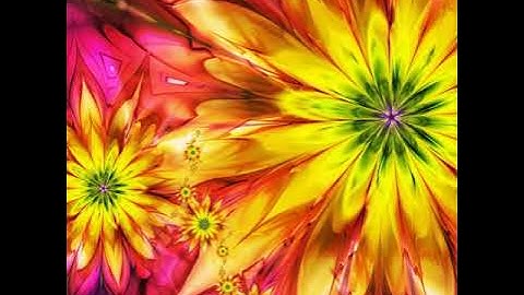 تلاوه خاشعه لعلها تبكي القلوب المتحجره